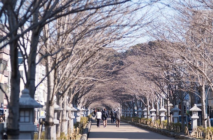 神奈川県鎌倉市（鎌倉攻め）